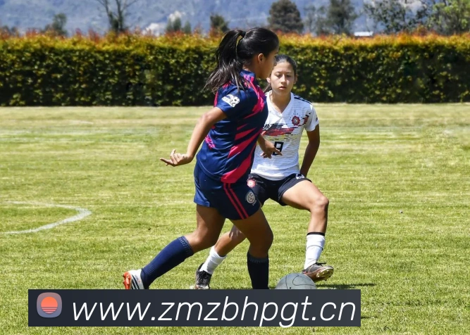 九游在线登录APP 体育赛事宣传图